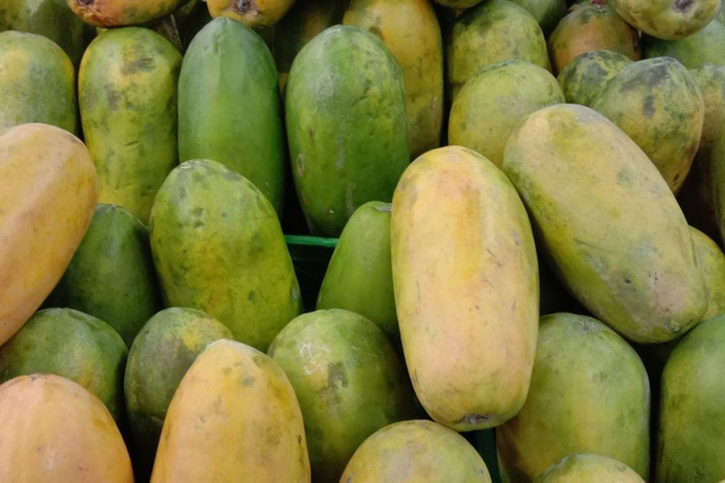 pepaya