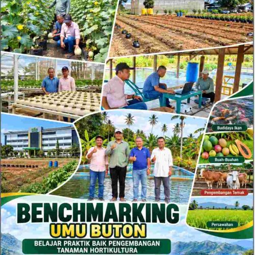 UMU BUTON BELAJAR PRAKTIK BAIK PENGEMBANGAN TANAMAN HORTIKULTURA PADA POLITEKNIK PERTANIAN NEGERI KUPANG