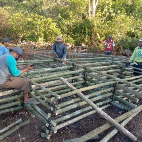 UMU Buton Merealisasikan Kegiatan Kick Off Implementasi Teknologi Akuaponik.